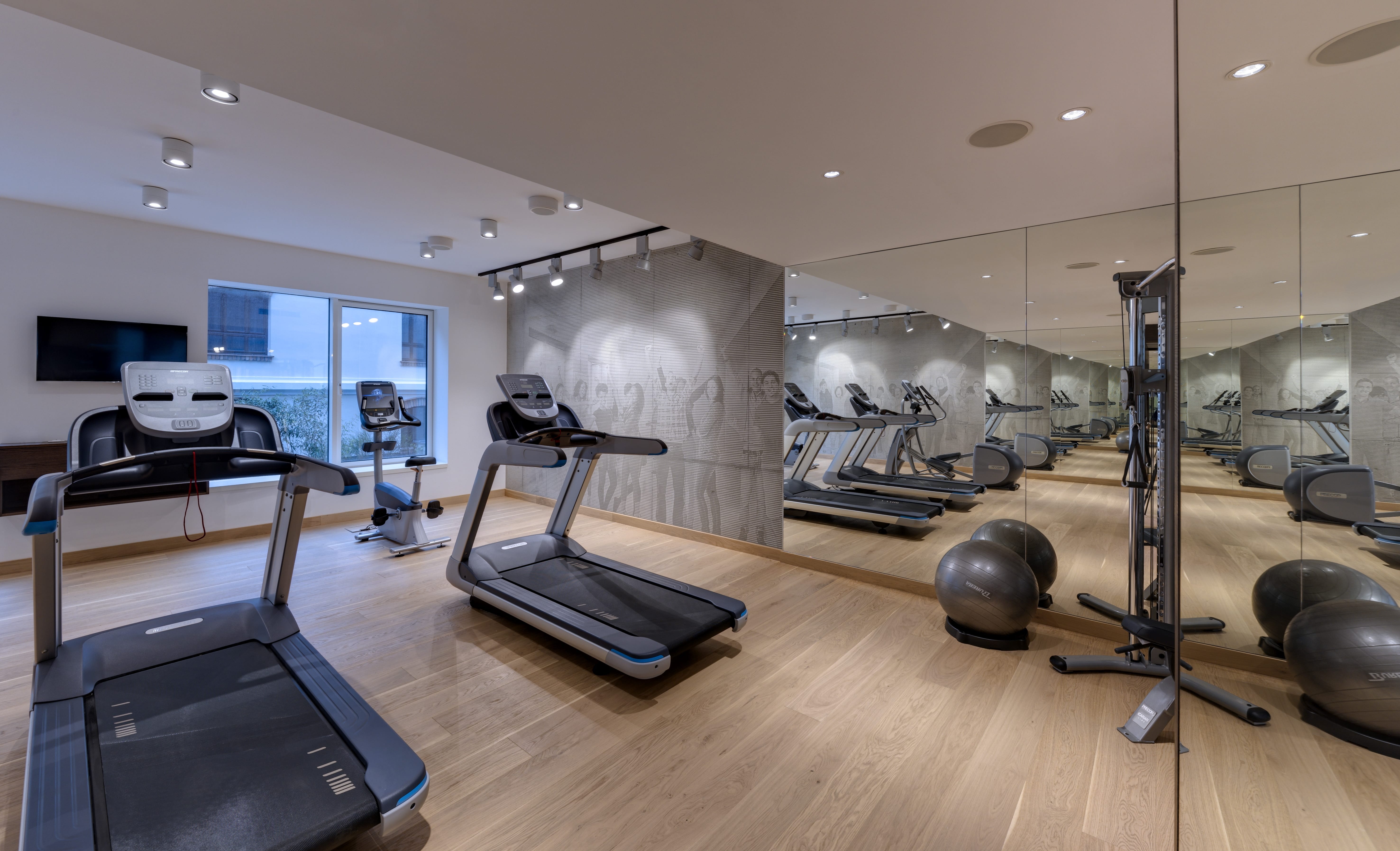 10-radisson-collection-belgrade-old-mill-gym