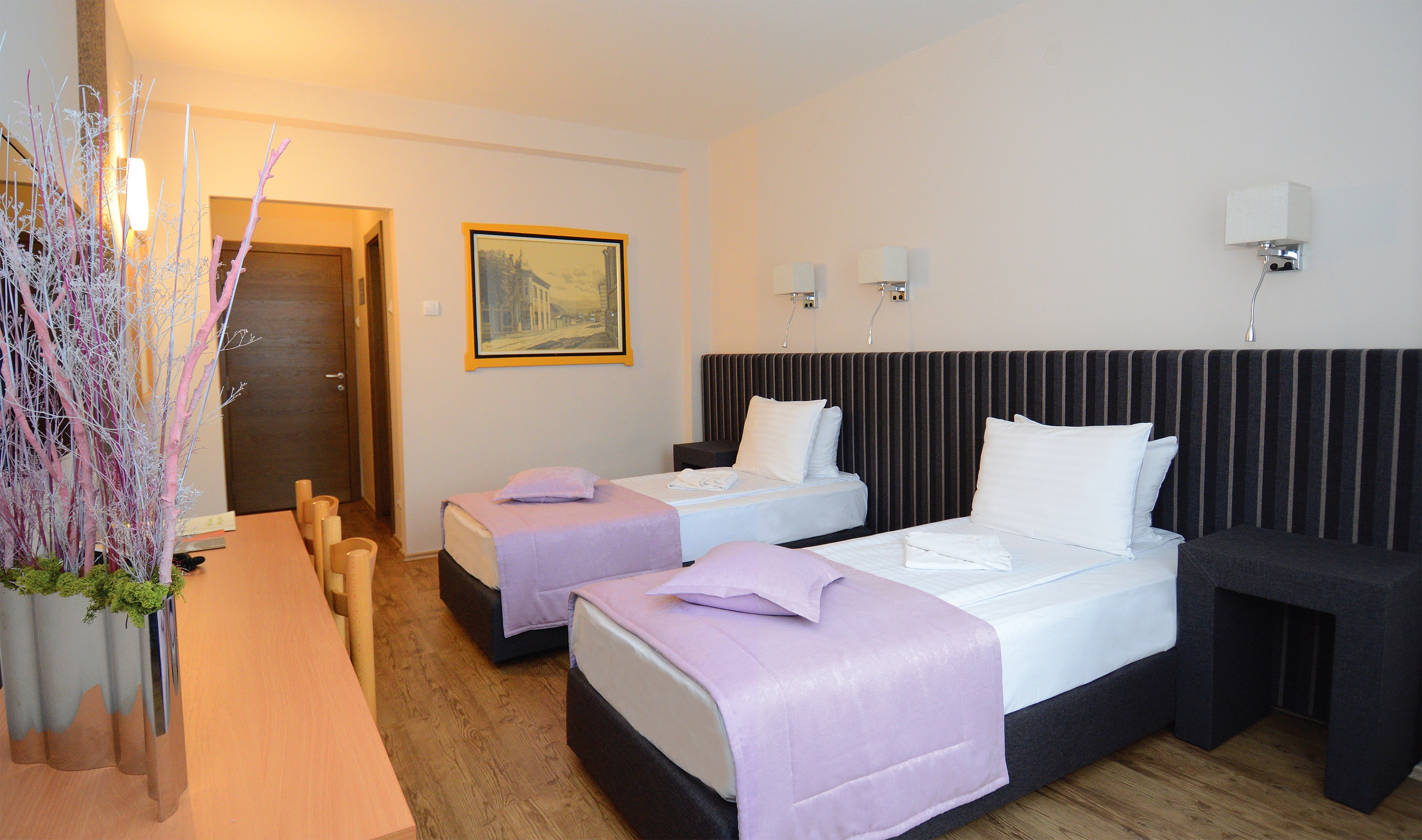 03-zepter-hotel-drina-bajina-basta-standard-room