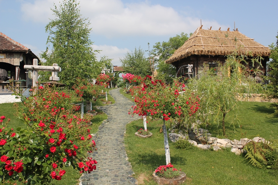 02-knezeva-outdoor