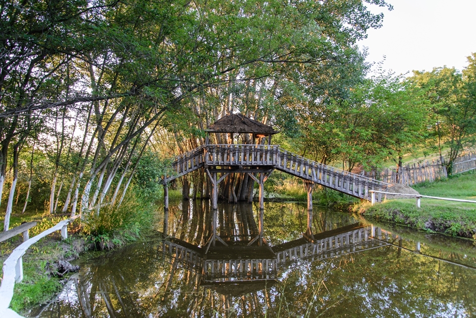 06-knezeva-surrounding